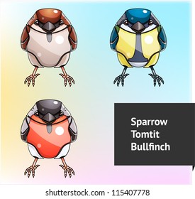 Robot birds in vector isolated (sparrow, bullfinch, tomtit)