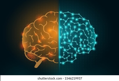 Robot Brain with electronic Circuit and normal Human Brain. Concept Illustration about artificial intelligence technology replace human work and disruption.