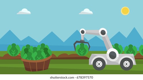 Robot harvesting cabbage at agricultural field. Robot picking cabbage at harvest time. Robot harvests organic cabbage and puts it in wheelbarrow. Vector flat design illustration. Horizontal layout.
