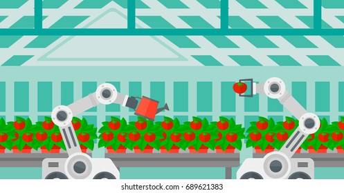 Robot picking tomatoes in greenhouse. Robot working in a greenhouse. Robot harvesting tomatoes in greenhouse. Robot watering tomatoes in greenhouse. Vector flat design illustration. Horizontal layout.
