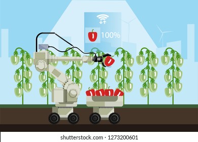 Robot sweeper picks sweet pepper. Smart farming. Technology in agriculture.