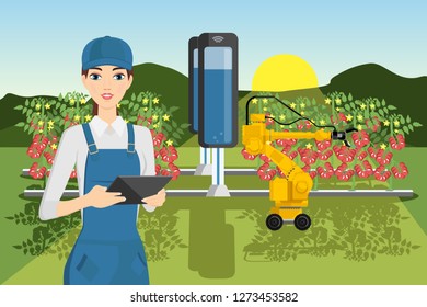 Robot sweeper picks tomatoes. Smart farming. Technology in agriculture.
