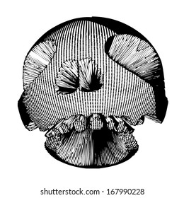 Robotic skull vector - isolated transparent skull for futuristic design