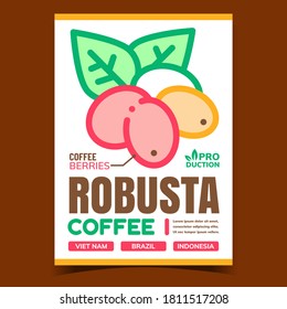 Vector de banner de publicidad creativa para café Robusta. Afiche Promocional De Coffee Natural Berries Y Leaves Agrícolas. Ilustración de color de plantilla de concepto de producción ecológica