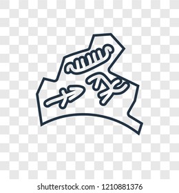 Rock art concept vector linear icon isolated on transparent background, Rock art concept transparency concept in outline style