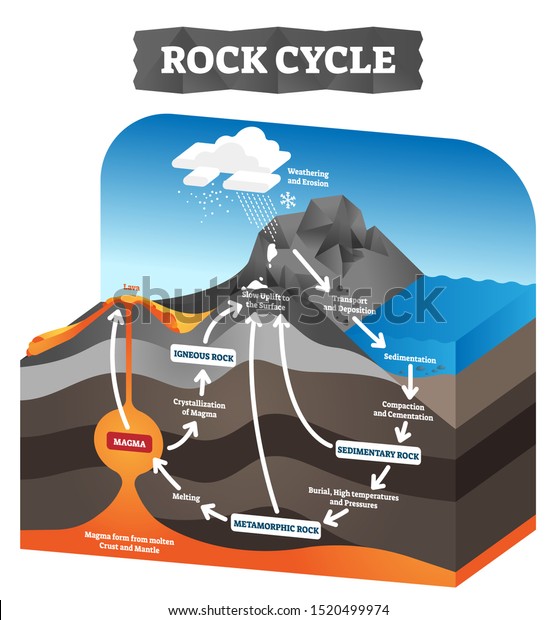 Rock cycle vector illustration. Educational\
labeled geology process scheme. Diagram with sedimentary,\
metamorphic and igneous formation. Pressure force impact on\
tectonic plates. Ground erosion\
layers