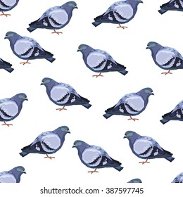 Rock dove bird illustration  pattern, seamless
