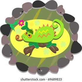Rock Frame with a Green Chameleon