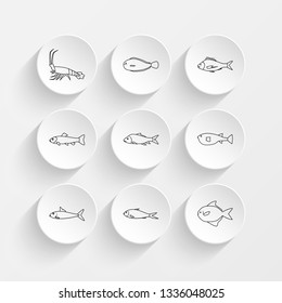 rock lobster , sole , tarakihi , trout  and castka bengal carp  icons on plate illustration set