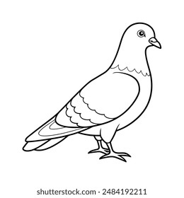 Rock pigeon bird line art  icon logo