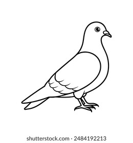 Rock pigeon bird line art  icon logo