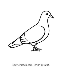 Rock pigeon bird line art  icon logo