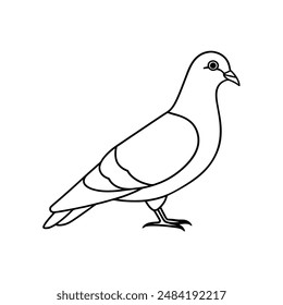 Rock pigeon bird line art  icon logo