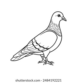 Rock pigeon bird line art  icon logo