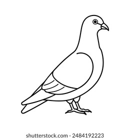 Rock pigeon bird line art  icon logo