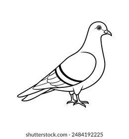 Rock pigeon bird line art  icon logo