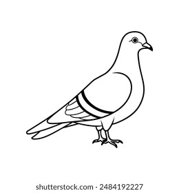 Rock pigeon bird line art  icon logo