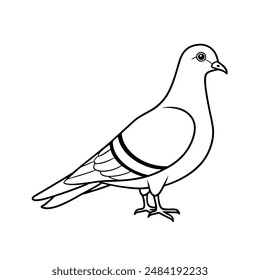 Rock pigeon bird line art  icon logo