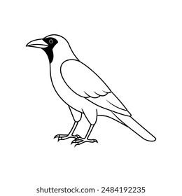 Rock pigeon bird line art  icon logo