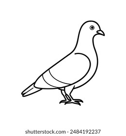 Rock pigeon bird line art  icon logo