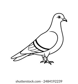 Rock pigeon bird line art  icon logo