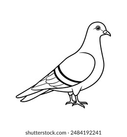 Rock pigeon bird line art  icon logo