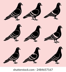 rock pigeon silhouette vector illustration