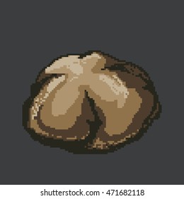 rock pixel