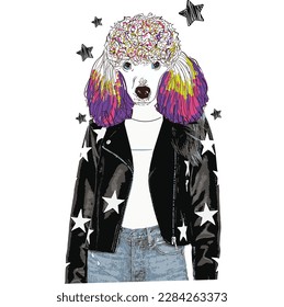 Rock and roll poodle, with punk hair