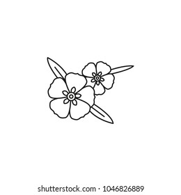 Rock rose icon. Outline rock rose vector icon for web design isolated on white background
