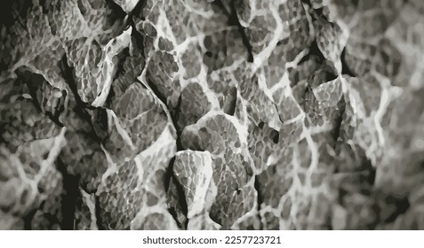Fondo negro y blanco de textura de roca. eps10