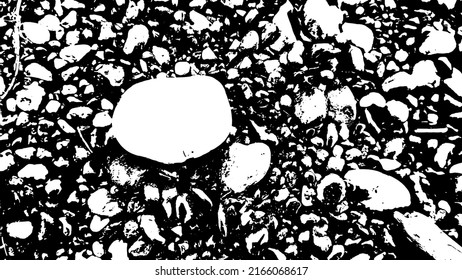 Rock texture. Panoramic texture of stone. Rough structure mineral. Stone background. Background of sea stone. Background texture. Vector illustration.
