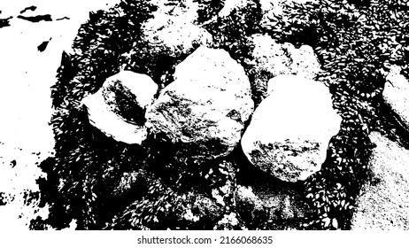 Rock texture. Panoramic texture of stone. Rough structure mineral. Stone background. Background of sea stone. Background texture. Vector illustration.