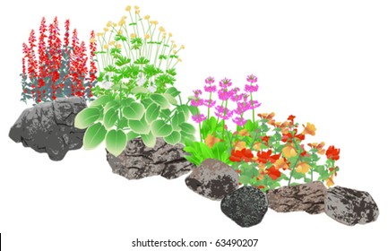 Rockery, Rock pool edging plants