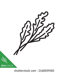 Rocket o Arugula deja icono vegetal, ilustración de vector de estilo de contorno