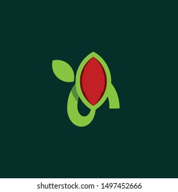 Rocket Leaf Naturally Modern Logo
