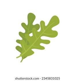 Rocket rucola icon flat vector. Arugula salad. Leaf plant isolated