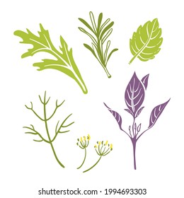 Raketensalat, Dill, Basilikum, Minze, Rosmarin. Farbige Papierschnitt-Kollektion von kulinarischen Kräutern einzeln auf weißem Hintergrund. Doodle handgezeichnet Früchte. Vektorgrafik