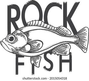 Rockfish line illustration with one color