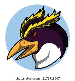 rockhopper penguin head vector illustration