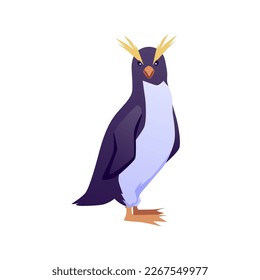 Rockhopper penguin sea and coast bird icon or symbol flat cartoon vector illustration isolated on color background. Rockhopper penguins breed of seabirds character.