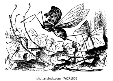 Rocking-Horse Fly - Original book engraving. Half way up that bush, you?ll see a Rocking-horse-fly, if you look. It's made entirely of wood, and gets about by swinging itself from branch to branch.