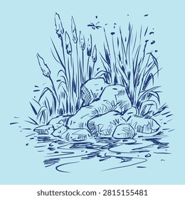 Rocks and clumps of grass on the pond vector for illustration, card, decoration