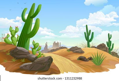 Rocks, Saguaro and cactus infested desert region. A sandy road across desert vegetation.