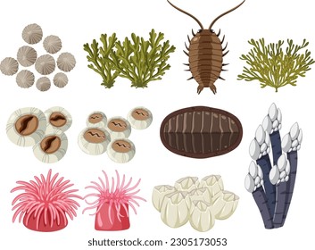 Rocky shore animals collection illustration