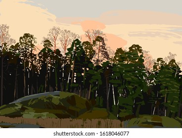 Rocky shore of the gulf of Finland with mixed forest and sunset skies on the background. Scandinavian landscape. Helsinki, Finland. Vector natural illustration