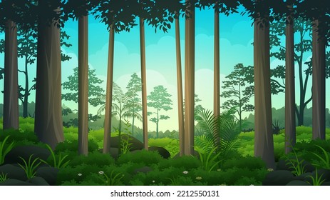 Bosque de lluvias tropicales rocosas con matorrales gruesos, plantas y árboles, paisaje natural ilustrativo vectorial