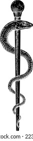 A Rod of Asclepius doctor medical snake symbol in a vintage engraved retro style