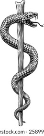 Rod of Asclepius staff medical symbol. Intertwined snake around a rod or wooden staff. Often mistakenly called a Caduceus. Doctor icon for medicine and health care. Vintage woodcut etching style. 