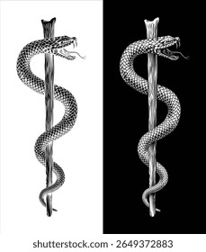 Rod of Asclepius staff medical symbol. Intertwined snake around a rod or wooden staff. Often mistakenly called a Caduceus. Doctor icon for medicine and health care. Vintage woodcut etching style.